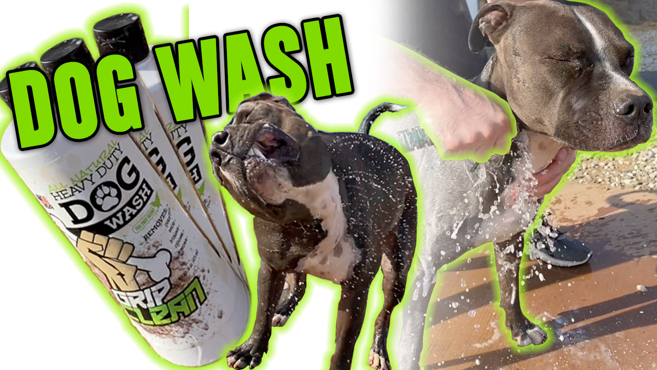 HOW TO REMOVE: Mud & grime from your filthy animal