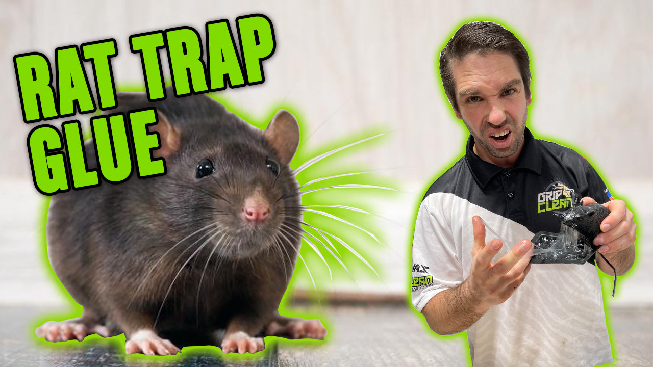 How To Remove Mouse Trap Glue From Hands