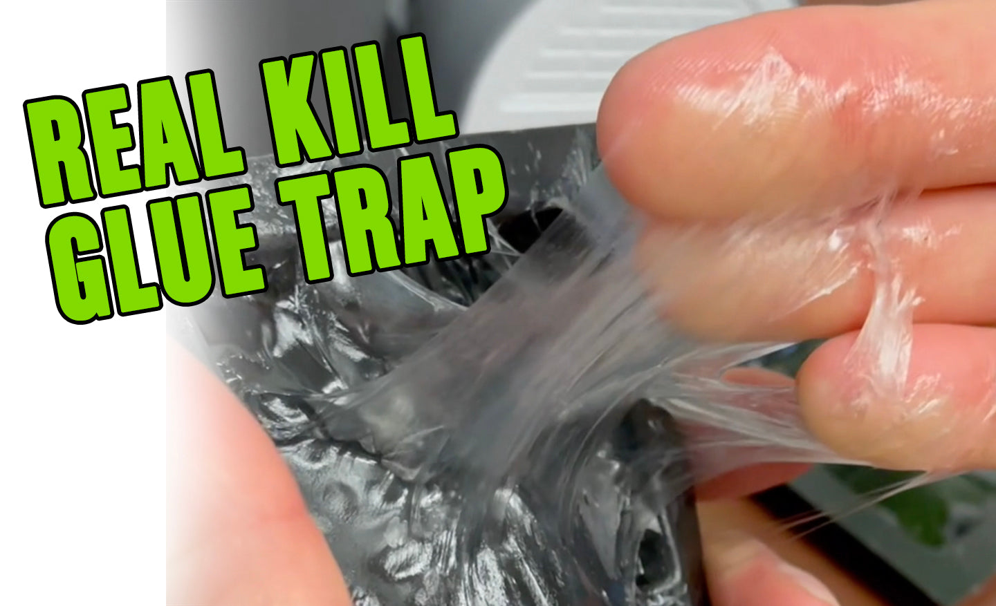 HOW TO REMOVE: REAL KILL GLUE TRAP